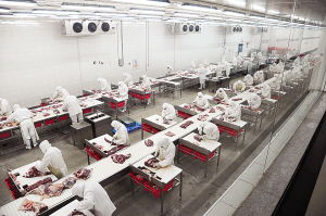 南陽日報多媒體數字報刊平臺,南陽日報多媒體數字報刊平臺,南陽,南陽日報,南陽網,南陽社區